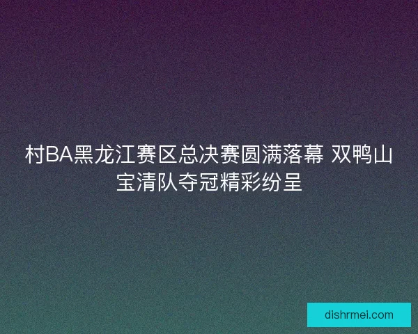村BA黑龙江赛区总决赛圆满落幕 双鸭山宝清队夺冠精彩纷呈